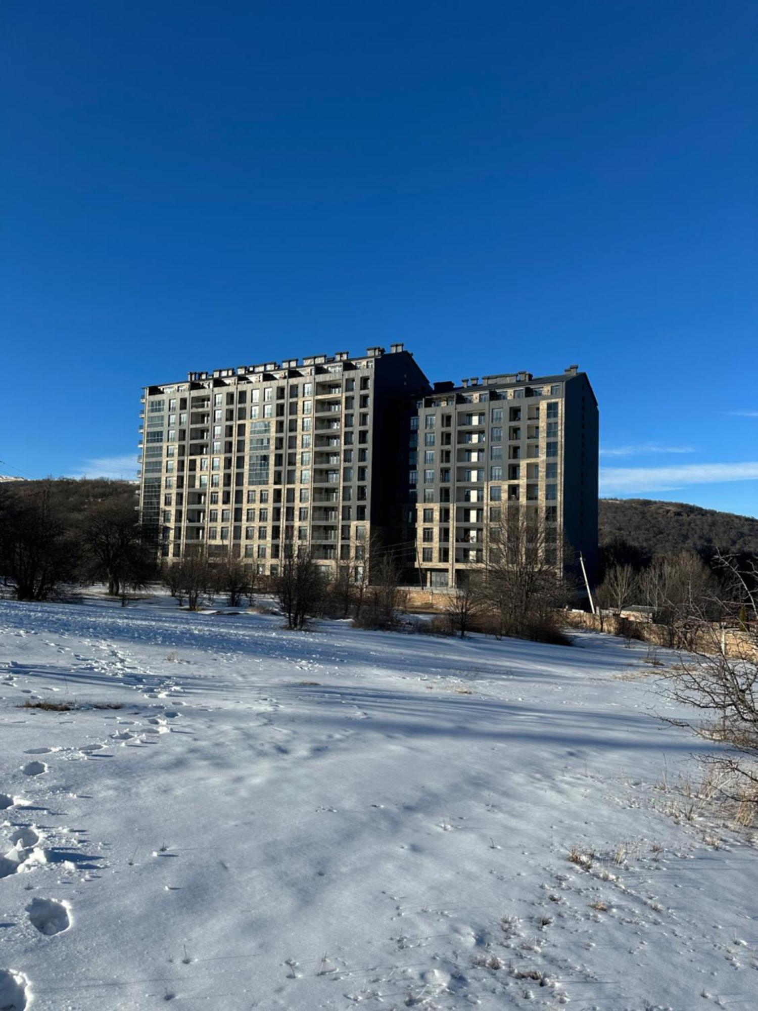Spirit Apartment Hotel In Mountains Of ツァグカゾール エクステリア 写真